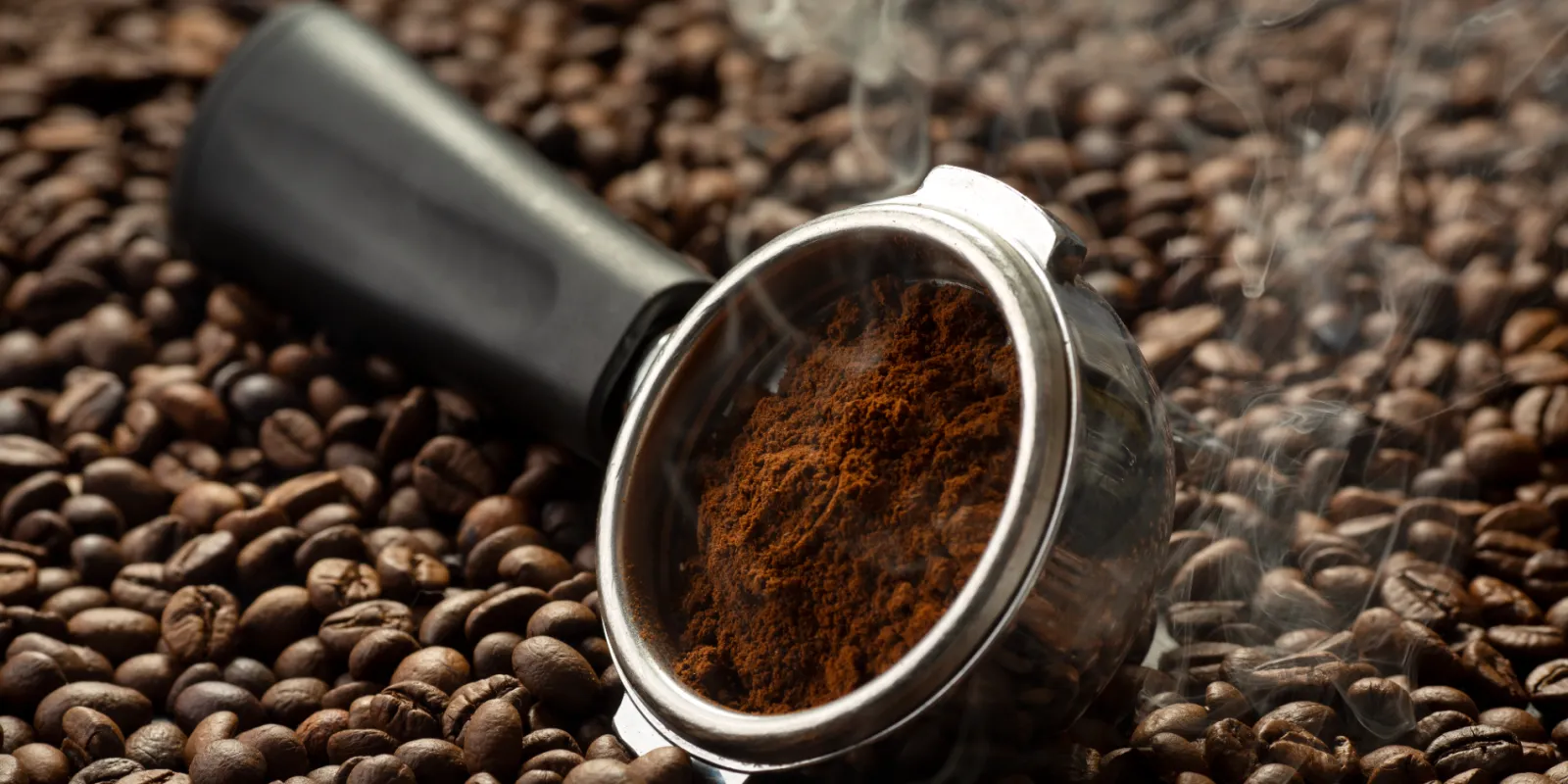 MoccaNegra - Mocca Negra Zrt.